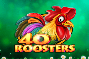 40roosters