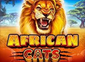 africancats