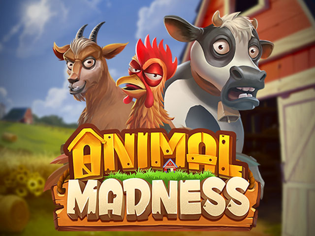 animalmadness