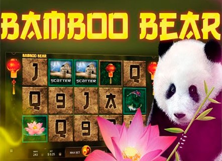 bamboobear