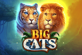 bigcats