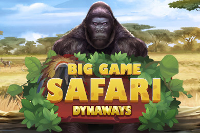 biggamesafari