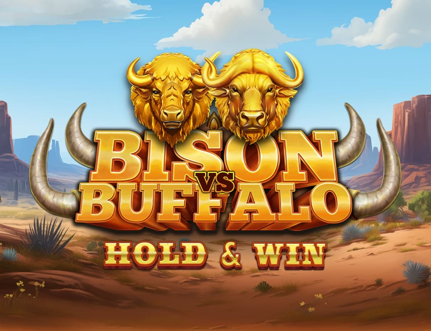 bisonvsbuffalo