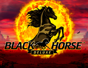 blackhorsedeluxe