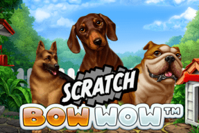 bowwowscratch