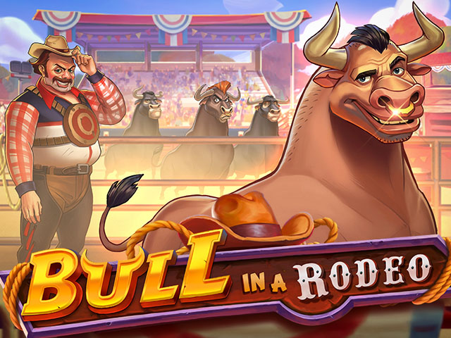 bullinarodeo