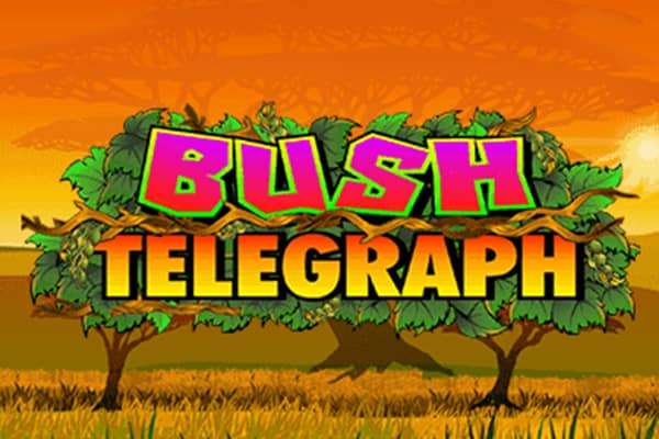 bushtelegraph