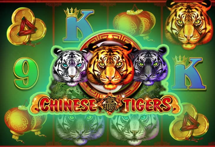 chinesetigers