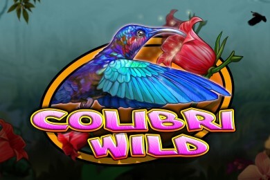 colibriwild
