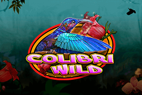 colibriwild