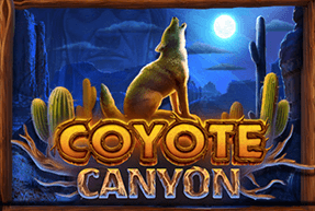 coyotecanyon