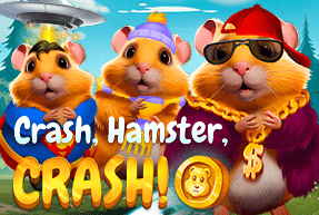 crashhamstercrash