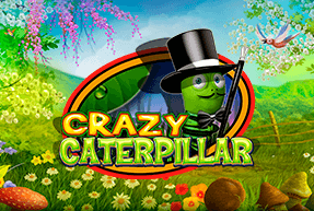 crazycaterpillar