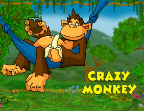 crazymonkey