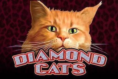 diamondcats