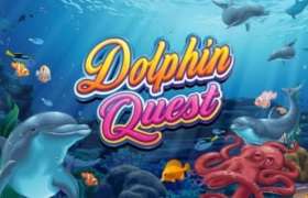 dolphinquest