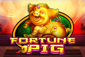 fortunepig