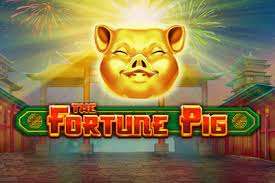 fortunepiggy