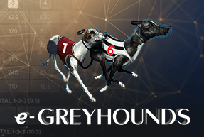 greyhounds