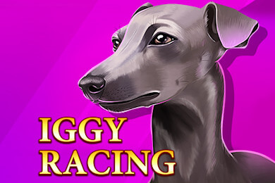 iggyracing