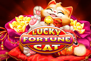 luckyfortunecat