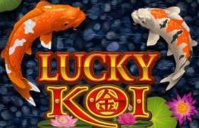 luckykoi