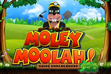 moleymoolah