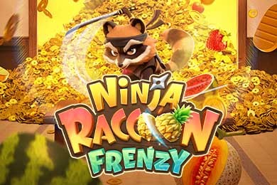 ninjaraccoonfrenzy