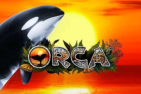 orca