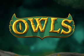 owls