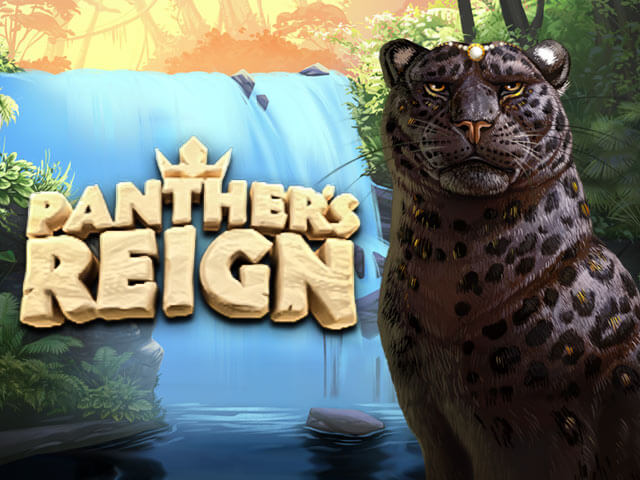 panthersreign