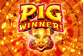 pigwinner