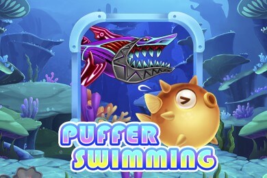 pufferswimming