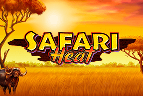 safariheat