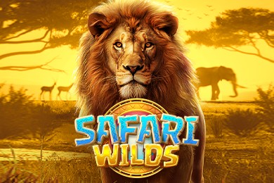 safariwilds