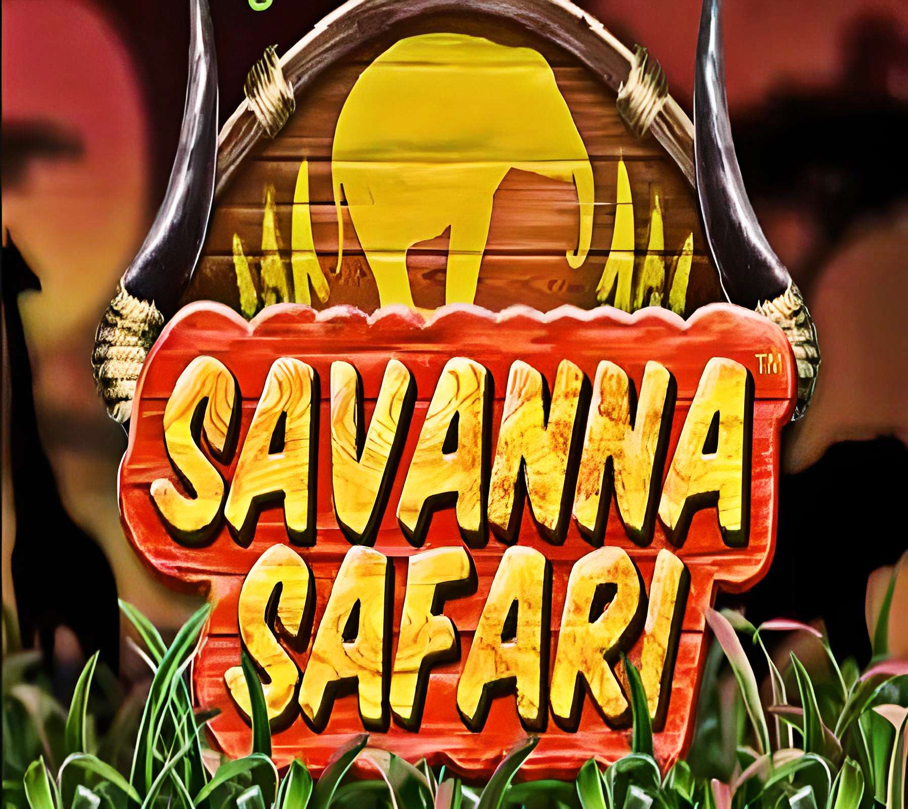 savannasafari