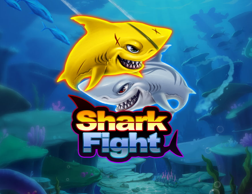 sharkfight