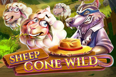 sheepgonewild