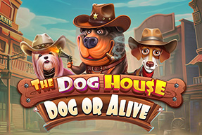 thedoghouse-dogoralivemobile