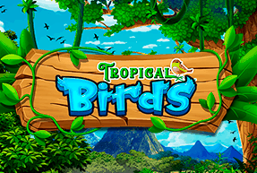 tropicalbirds