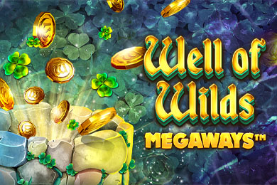 wellofwildsmegaways