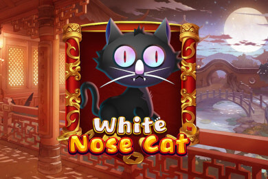 whitenosecat