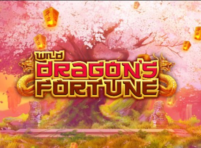 wilddragonsfortune