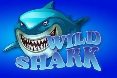 wildshark