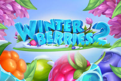 winterberries2