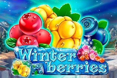 winterberries