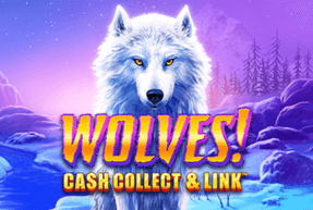 wolvescashcollectlink