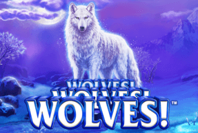 wolveswolveswolves